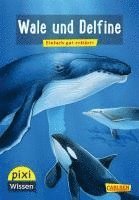 bokomslag Pixi Wissen 8: VE 5 Wale und Delfine