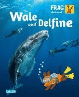 bokomslag Frag doch mal ... die Maus!: Wale und Delfine