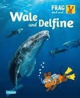 Frag doch mal ... die Maus!: Wale und Delfine 1