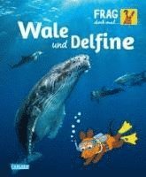 Frag doch mal ... die Maus!: Wale und Delfine 1