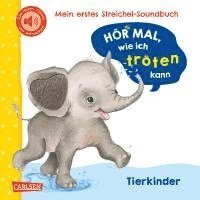 bokomslag Hör mal, wie ich tröten kann (Mein erstes Streichel-Soundbuch 4)