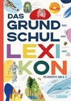 bokomslag Das Grundschullexikon