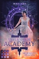 Silvershade Academy 1: Verborgenes Schicksal 1