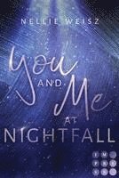 bokomslag Hollywood Dreams 2: You and me at Nightfall