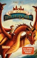 Emily Skye - Die geheime Drachenschule 1: Die geheime Drachenschule, Häftad