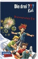 bokomslag Die drei ??? Kids 40: Brennendes Eis