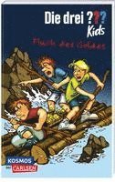 Die drei ??? Kids 11: Fluch des Goldes