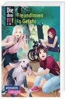 bokomslag Die drei !!! 50: Freundinnen in Gefahr (Dreifachband. Enthält die Bände: Verlorenes Herz, Spuren der Vergangenheit, Falsche Freunde)