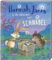 bokomslag Hannah, Janis und das Päckchen mit Schnabel