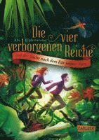 bokomslag Die vier verborgenen Reiche 2: Auf der Suche nach dem Für-immer-Farn