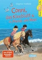 bokomslag Conni & Co 11: Conni, das Kleeblatt und die Pferde am Meer