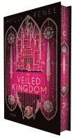 bokomslag The Veiled Kingdom (Die Veiled-Kingdom-Serie 1)