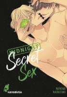 bokomslag Midnight Secret Sex