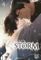 bokomslag Radio Storm 4