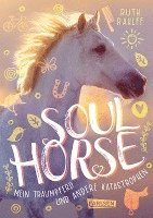 bokomslag Soulhorse 1: Mein Traumpferd und andere Katastrophen