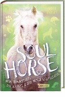 bokomslag Soulhorse 2: Mein Traumpferd, der Ausritt und jede Menge Wolfsgeheul