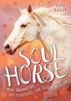 bokomslag Soulhorse 3: Mein Traumpferd, der Feuerteufel und Herzen im Galopp