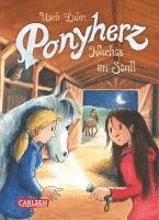 bokomslag Ponyherz 06: Nachts im Stall
