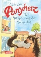 bokomslag Ponyherz 07: Ein Wildpferd auf dem Pausenhof