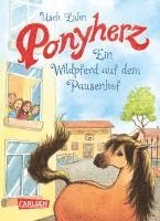 bokomslag Ponyherz 07: Ein Wildpferd auf dem Pausenhof
