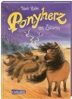 bokomslag Ponyherz 14: Ponyherz im Sturm