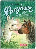 bokomslag Ponyherz 16: Ponyherz findet einen Freund