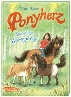 bokomslag Ponyherz 21: Die wilden Zwergponys