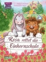 Britta Vorbach, Annett Stütze - Rosa rettet die Einhornschule, Inbunden