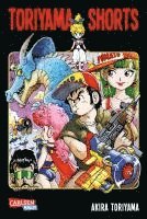 Toriyama Shorts Massiv 1