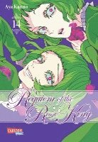 Requiem of the Rose King 14 1