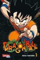 bokomslag Dragon Ball Massiv 1