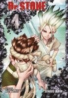 bokomslag Dr. Stone 4