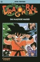 bokomslag Dragon Ball 13. Das magische Wasser