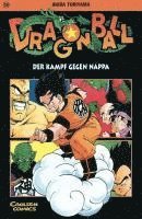 bokomslag Dragon Ball 19. Der Kampf gegen Nappa