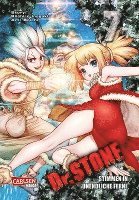 bokomslag Dr. Stone 7