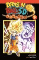 bokomslag Dragon Ball SD 9