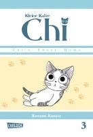 Kleine Katze Chi 03 1