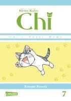 Kleine Katze Chi 07 1