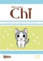 Kleine Katze Chi 12 1