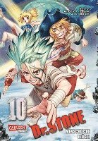 bokomslag Dr. Stone 10