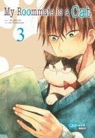 Tsunami Minatsuki, As Futatsuya - My Roommate is a Cat 3, Häftad