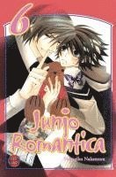 bokomslag Junjo Romantica 06