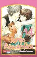 bokomslag Junjo Romantica 14