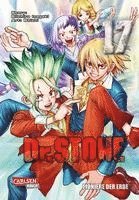 bokomslag Dr. Stone 17