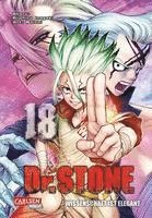 bokomslag Dr. Stone 18