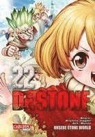 bokomslag Dr. Stone 22