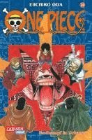 bokomslag One Piece 20. Endkampf in  Arbana