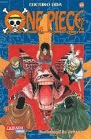 One Piece 20. Endkampf in  Arbana 1