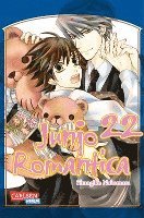 bokomslag Junjo Romantica 22