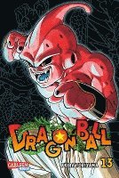 bokomslag Dragon Ball Massiv 13